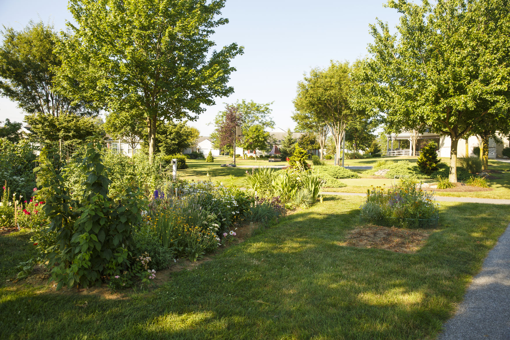 Garden Spot gardens